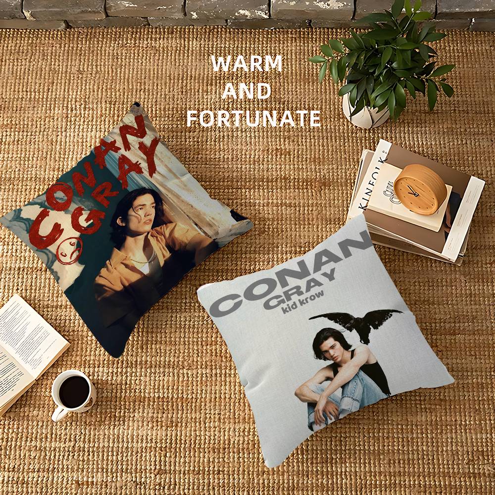 Singer C-Conan Gray Personaliz - огляд і ціна Home Textiles Inc