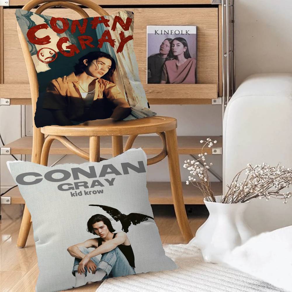 Singer C-Conan Gray Personaliz - огляд і ціна Home Textiles Inc